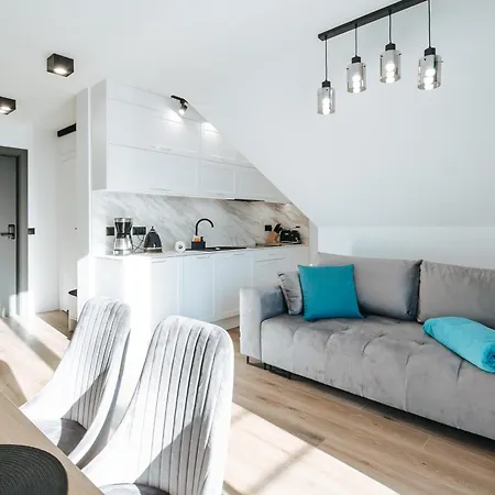 Apartment Panorama Tatr Jacuzzi I Parking Gratis Zakopane